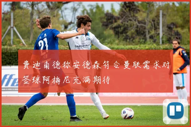 费迪南德称安德森符合曼联需求对签琼阿梅尼充满期待