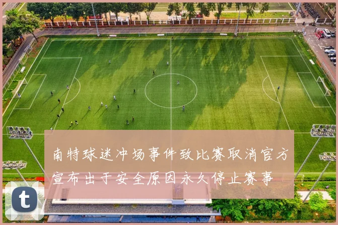 南特球迷冲场事件致比赛取消官方宣布出于安全原因永久停止赛事